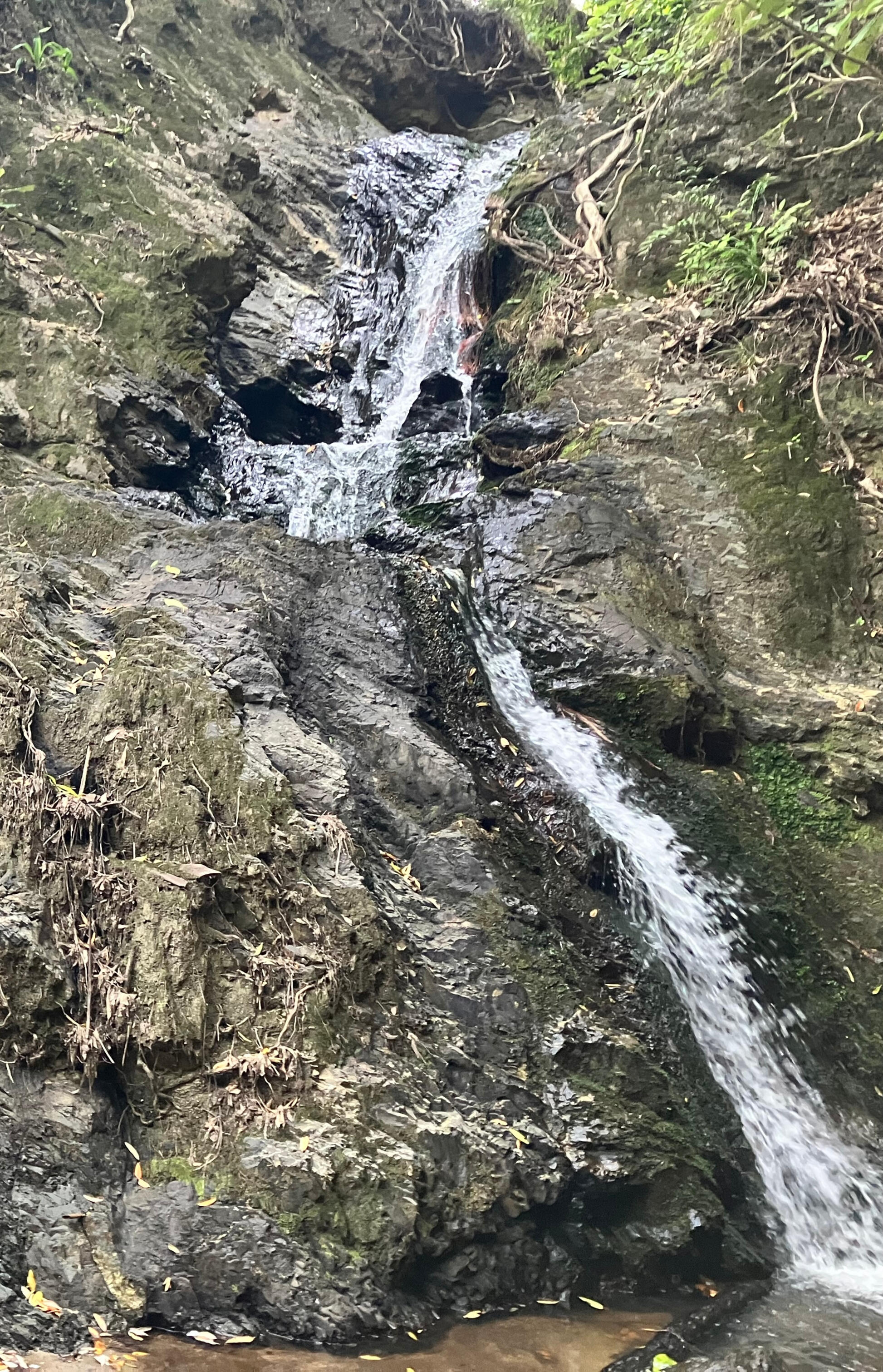 Natural assets and long-term regional development in Whakatāne Waterfall in the Whakatāne district symbolizing regional development and local projects creating momentum